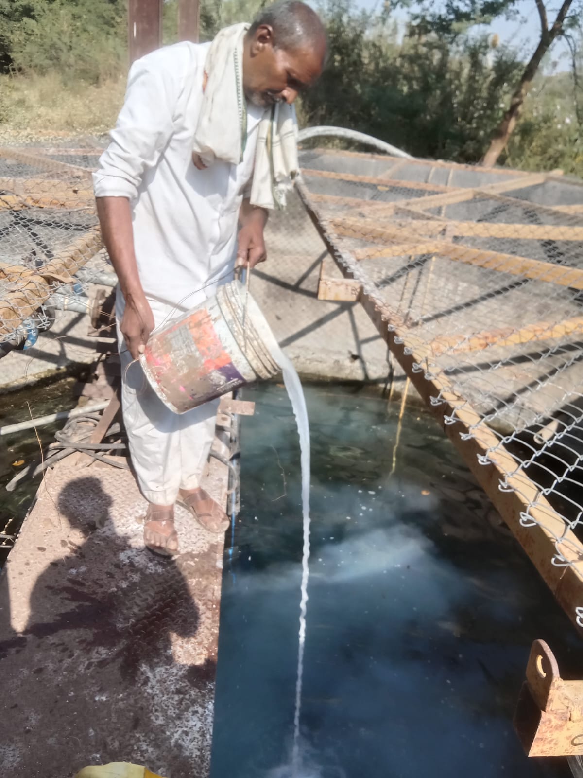 WhatsApp Image 2025-10-06 at 6.14.52 PM